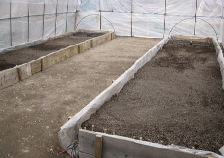 温暖的温字怎么组词