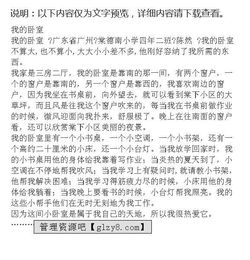 我的卧室作文英语，我的卧室作文300字