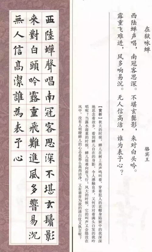 古诗五言律诗精选【十首】