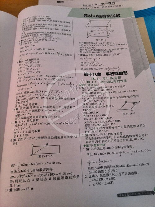 沪科版八年级数学下册课本答案