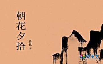 朝花夕拾读后感400字 讲了哪些趣事