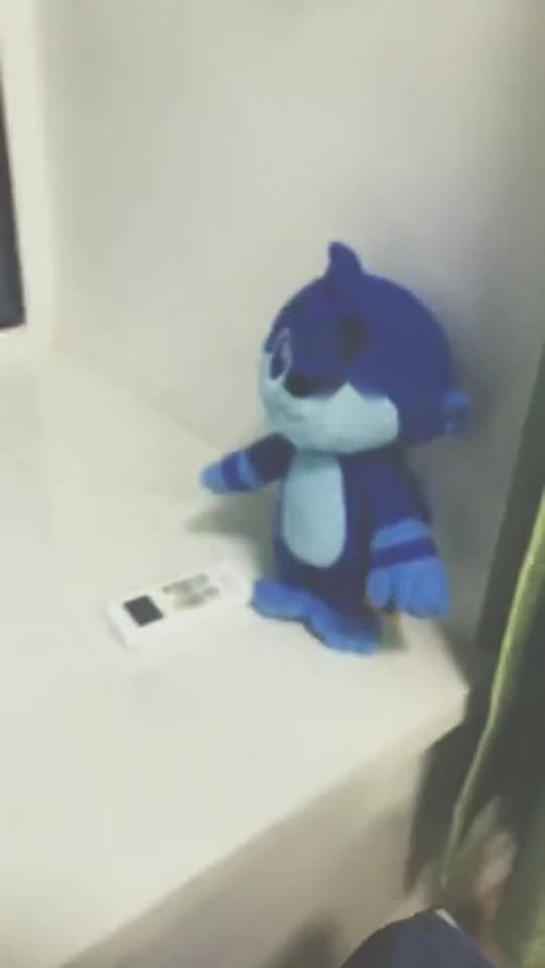 唰唰声还是刷刷声，唰唰贷是合法的吗