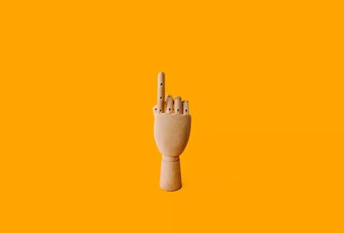 point out是什么意思