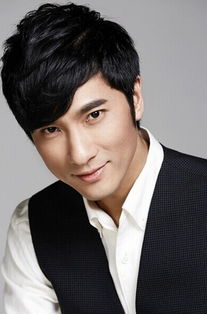 刘子豪篮球，刘子豪主演的电视剧