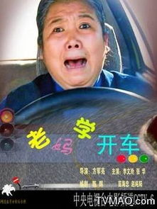 求电影名字,北京生活的,一个是老太太学开车,一个是村里姑娘找丈夫,认错