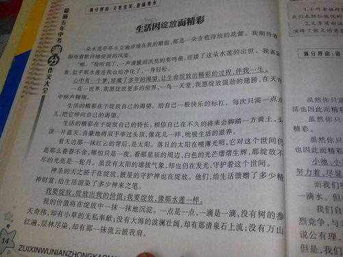 绽放作文600字，绽放作文600字初二