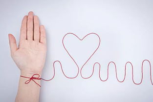 词语心悸是什么意思