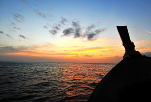 吹拂拼音怎么写