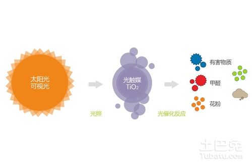 触媒是什么东西，触媒理论