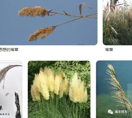 生命如此脆弱、下一秒不知道是什么，生命如此脆弱什么意思