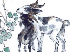 属羊人2023年全年运势详解，属羊人适合做什么生意赚钱