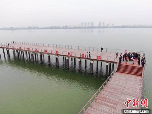 我想问一下水落鱼梁浅天寒梦泽深的意思