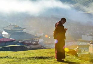 境由心造,物随心转,心之所向,境之所在什么意思，境由心造出自哪里