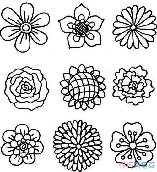 花的画法
