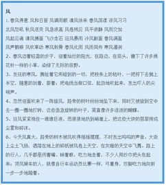 描写雾的作文小学生