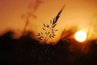 境由心造谁明白是什么意思 境由心造的意思是什么