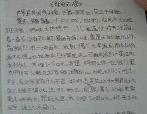 关于母爱的作文400字精选5篇