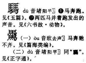 四个马念什么