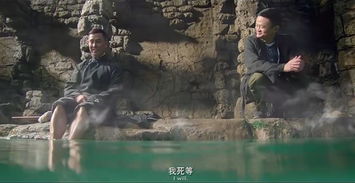 不见兔子不撒鹰猜三个数，不见兔子不撒鹰的含义