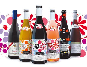 “薄酒”什么意思?