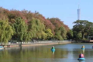 东山湖公园在哪个地铁站，东山湖公园简介