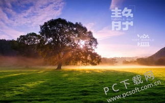 四川话安逸的意思是什么，静谧安逸的意思是什么