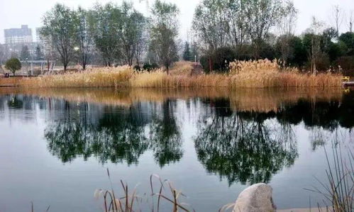 五湖是指哪五湖?