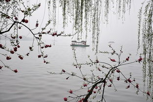 清明时节家家雨是哪首古诗，清明时节家家雨 青草池塘处处蛙是指哪个地方