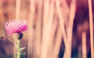 好运降临的句子秋季，时来运转的金句