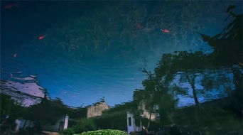 自矜功伐,奋其私智而不师古。<项羽本纪>翻译,在线等待