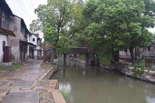 丰桥村属于哪里