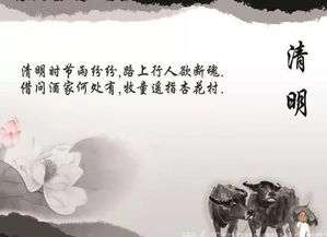清明节的内容资料