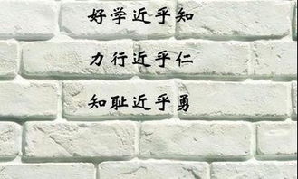 我喜欢的一些名言警句