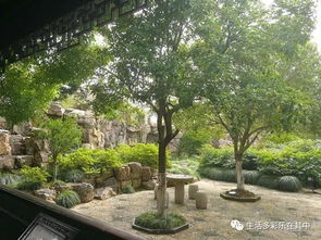 季羡林为什么住在燕园胜地