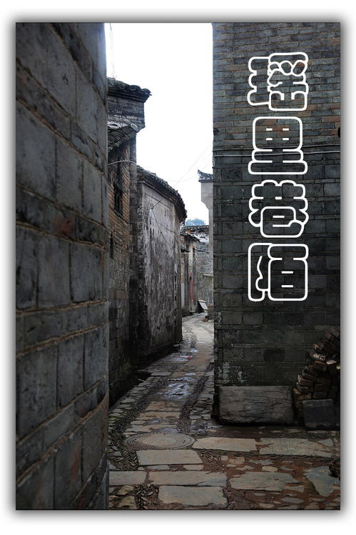 寻常巷陌什么意思，寻常巷陌南柯