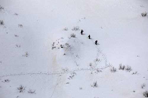 卧冰求鲤，卧冰是什么意思