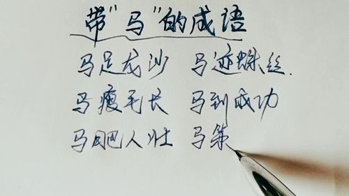 含有马字的成语