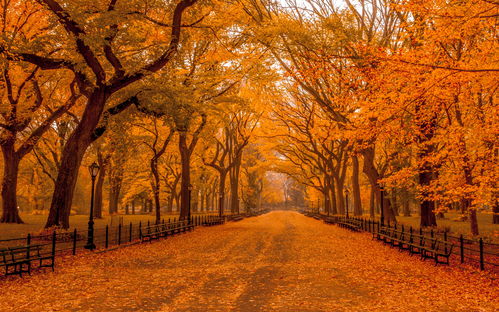 我眼中的秋天作文400字，我眼中的秋天画