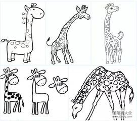 长颈鹿怎么画 简笔画，长颈鹿怎么画三年级