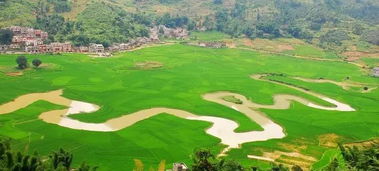 巴马明天天气预报查询,明日白天,夜间天气情况怎么样