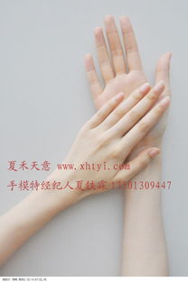 手模特基本收入多少钱?