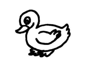 古诗画鸭的诗意是什么