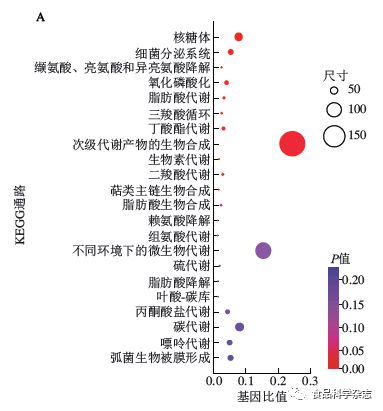 “膜”有哪些组词?