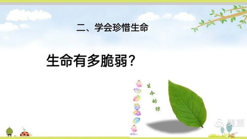 珍爱生命健康成长手抄报，珍爱生命健康成长作文