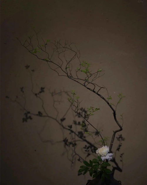 慎思之,明辨之,笃行之什么意思，慎思明辨 笃行致远