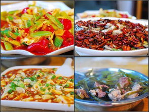 你知道什么是苍蝇馆子吗?