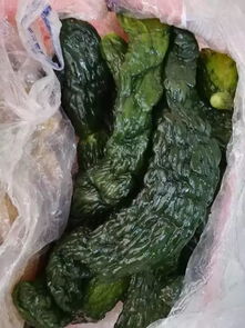 白面风会不会传染吗，白面风根功效主治