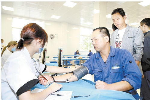 职业健康体检分为三类分别是什么?