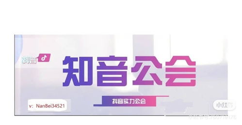 纳的组词有那些