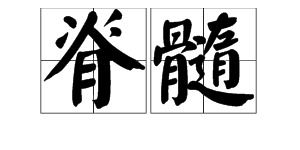 脊拼音组词，筋拼音怎么拼写